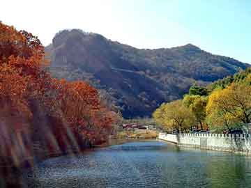 2004新澳门天天开好彩，水晶摆饰